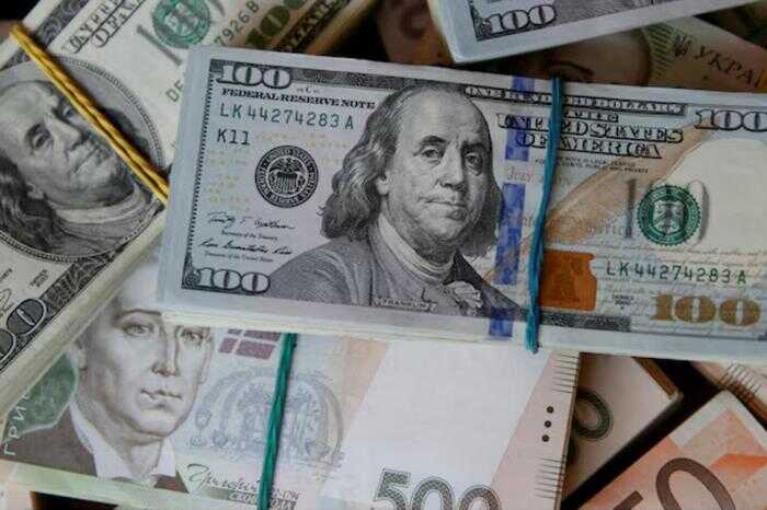 Глава НБУ заявил о растущем влиянии евро на валютный рынок Украины